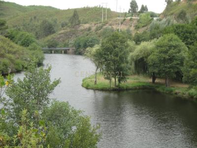 Mação, Santarem 6120-781, Portugal