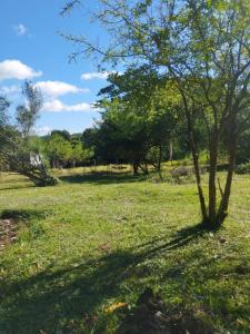 Salado Villa Enrique , Limpio, Centralne 00001, Paragwaj