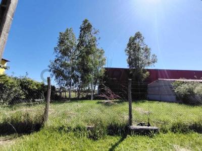 Colonia Rincon 001, Gurambaré, Центральное 000, Парагвай