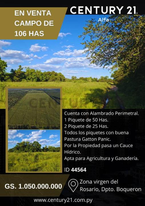 Neuland, Boquerón 9300, Paraguay