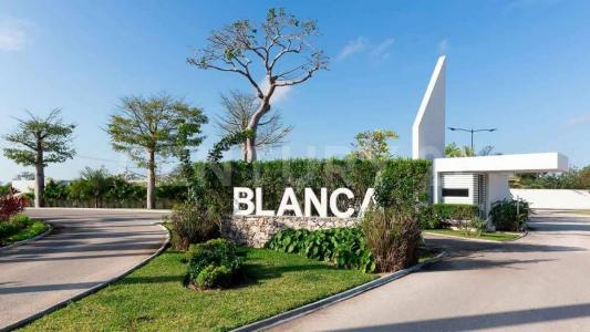 PRIVADA BLANCA - HUAYA SN,, Mérida, Yucatán 97303, Mexico