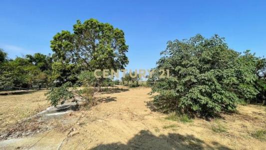 義稠段, Yanshui Dist., Тайнань 737, Тайвань