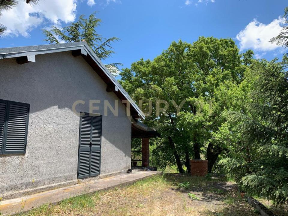 Belpasso, Sicilia 95032, Ý