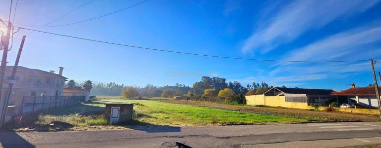 Vagos, Aveiro 3840-571, Portugal