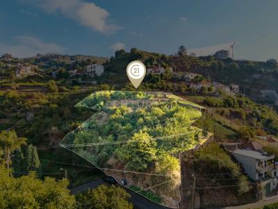 Câmara De Lobos, Madeira 9325-158, Portugal