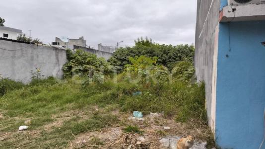 Guadalupe, Nuevo León 67190, Mexique