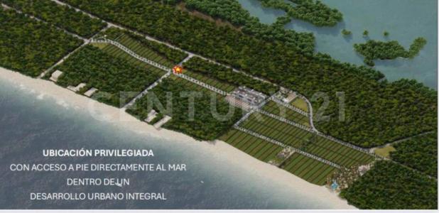 Tablaje 45092,, Progreso, Yucatán 97321, México