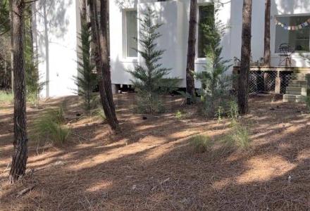 LOTE 245, Costa Esmeralda, Buenos Aires Costa Atlántica 7167, Argentyna