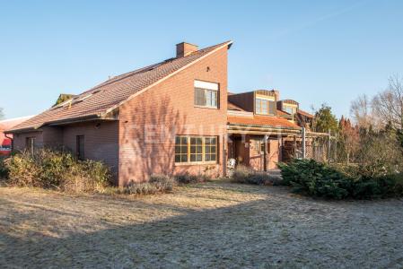 Wustrow, Niedersachsen 29462, ドイツ