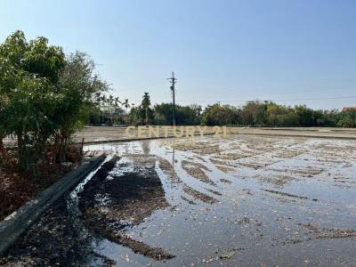 鎮安段, Nantun Dist., Taichung 408, Tayvan