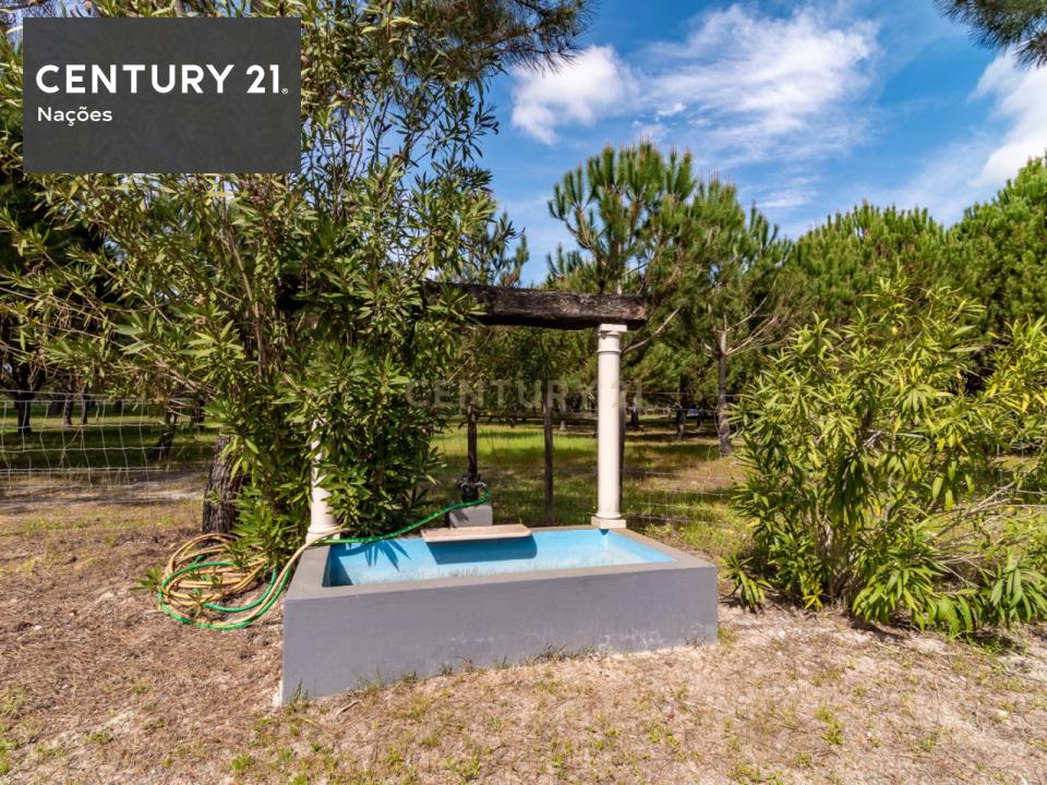 Alcácer Do Sal, Setubal 7580-555, Portugal