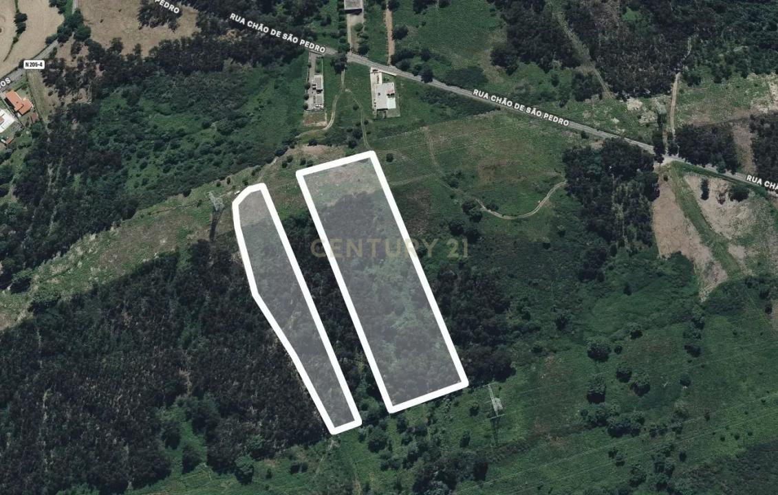 Póvoa De Lanhoso, Braga 4830-000, Portugal