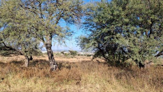 Domicilio conocido Google Maps 20.540413,-99.905913,, Tequisquiapan, Querétaro 76750, Mexique