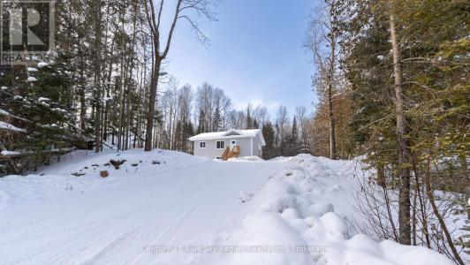 113 RIVERSIDE DRIVE, Bonfield, Ontario P0H 1E0, Canada