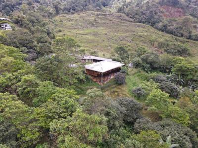 Zapotal , San Isidro Del General Pérez Zeledón, San José 00001, Costa Rica