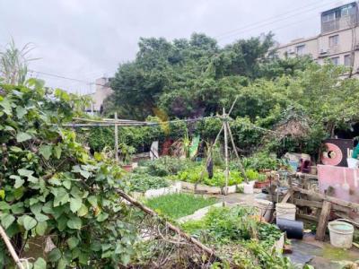 中央段, 平鎮區, טאו - יואן העיר 324, טיוואן 