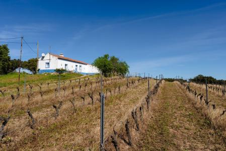 Reguengos De Monsaraz, Evora 7200-084, Portugal
