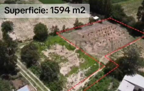 Sur, Cochabamba 00001, Bolivia