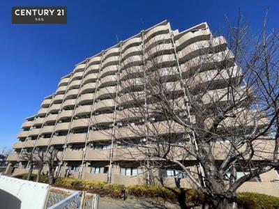 白山５丁目, グランデール取手, 取手市, Ibaraki 302-0023, Japon