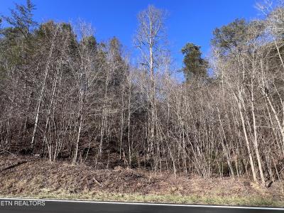 Lot 17 & 18 Jones Cove Rd, Sevierville, Tennessee 37876, USA