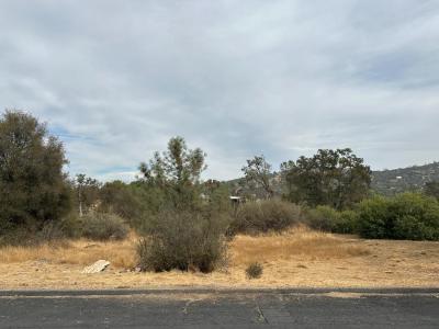 Jim Bowie Court, Coarsegold, California 93614, USA