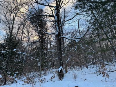 00 Starlight Road, Monticello, New York 12701, USA