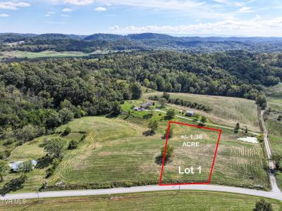Lot 1 Charlie Doty Road, Greeneville, 田纳西州 37745, 美国