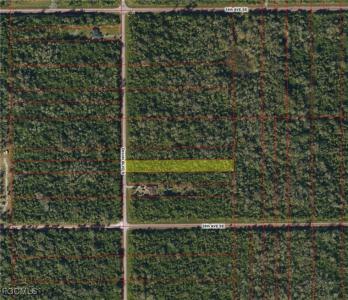 Desoto Boulevard S, Naples, פלורידה 34117, ארצות הברית של אמריקה 