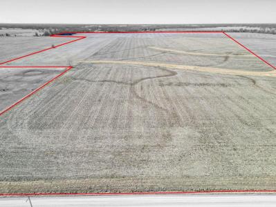 105 ACRES COUNTY ROAD 817, Paris, Missouri 65275, Amerika Birleşik Devletleri