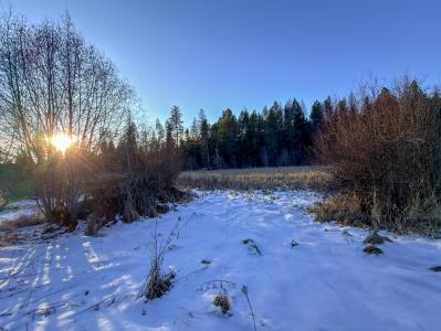 331861 Hwy 2, Newport, Washington 99156, USA