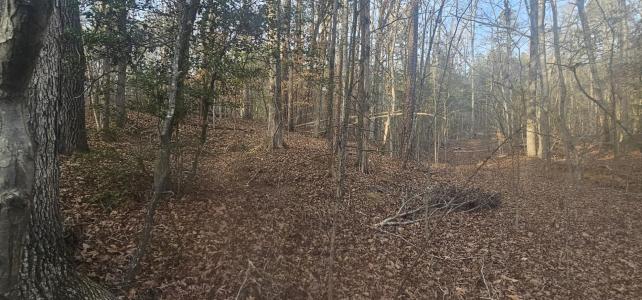 0 Bishop Road, Pauline, SC 29374, USA