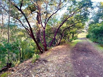 7333 Tehama, Nice, California 95464, USA