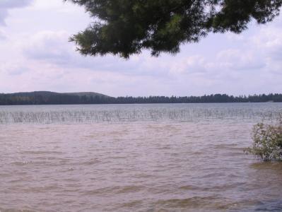 000 Ray Avenue, Grayling, Michigan 49738, USA