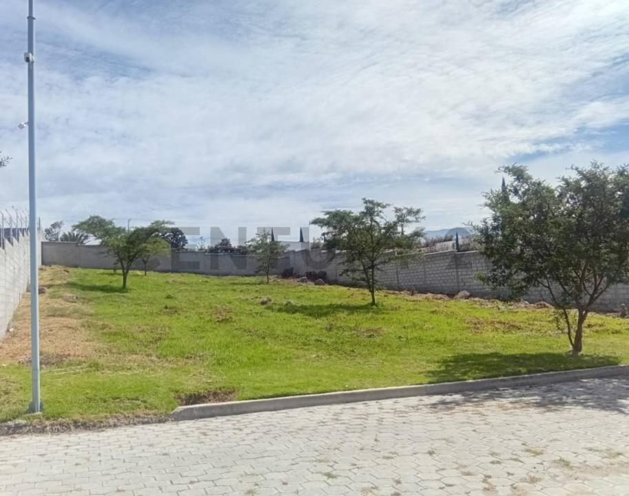 av. san jose y de los naranjos s/n, Quito, Pichincha 00001, エクアドル