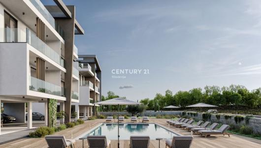 Paphos, Paphos, Eslovénia