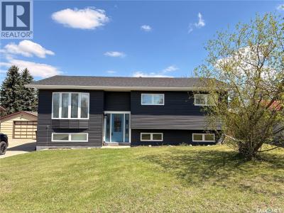 405 3RD AVENUE W, Biggar, Saskatchewan S0K 0M0, CANADÁ