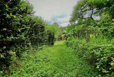 San Antonio Escazú, San José 10202, Costa Rica