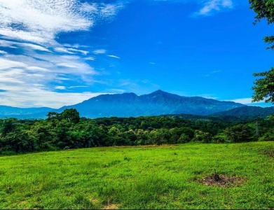 Coyolar Orotina, Alajuela 00001, Costa Rica