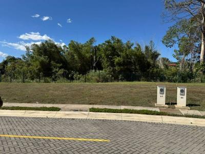 Puente de Piedra Grecia, Alajuela 20307, Costa Rica