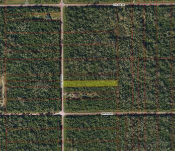 Desoto Boulevard, Naples, פלורידה 34117, ארצות הברית של אמריקה 