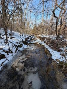 970 Covey Road, Mountain Grove, Missouri 65711, USA