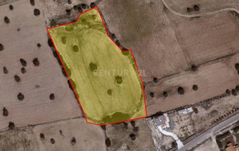 Agios Theodoros, Cyprus