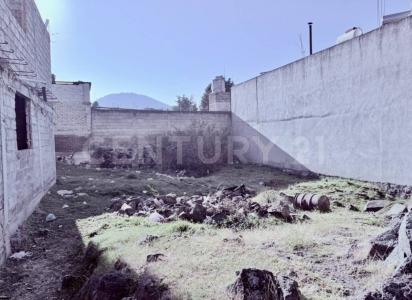 CLAVELES 40,, Tlalpan, Ciudad De México 14900, Mexico