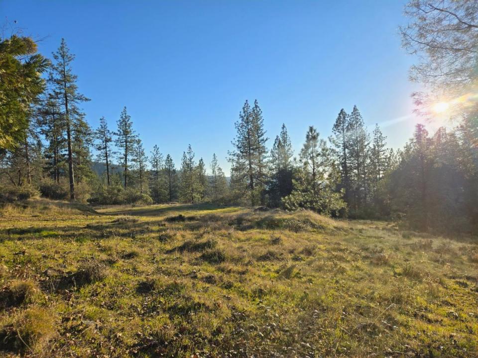 Double Eagle Way, Brownsville, Californie 95919, États-Unis