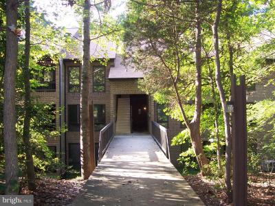 23311 Sugar Maple Court Unit# 4B (816), Kalifornien, Maryland 20619, USA