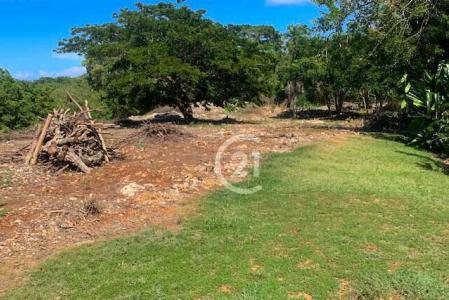 Ocean View Land for Sale in El Batey, Sosúa with Development Potential, Sosúa, Puerto Plata Dominican Republic, Puerto Plata 57000, République Dominicaine
