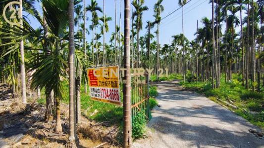 早角段, Neipu Township, Pingtung County 912, Taïwan