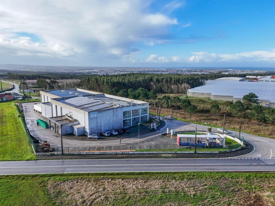 Torres Vedras, Lisbona 2560-040, Portogallo