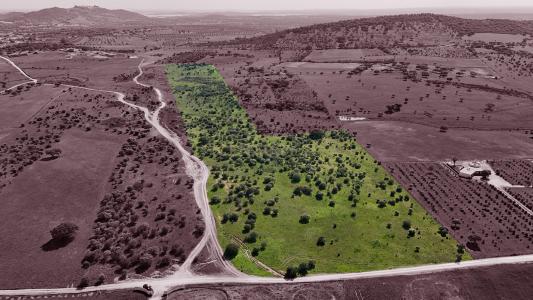 Reguengos De Monsaraz, אבורה 7200-179, פורטוגל 