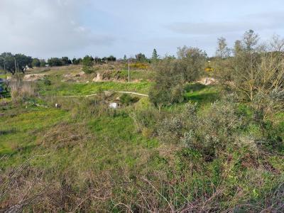 セトゥーバル, セトゥーバル 2910-845, ポルトガル